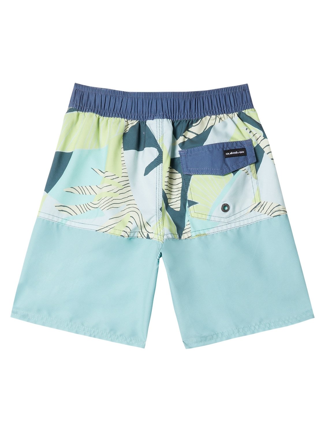 Quiksilver Pre-Boys Everyday Division 20" Boardshort