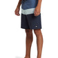 Quiksilver Men's Surfsilk Panel 20" Boardshorts