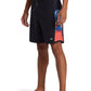 Quiksilver Men's Surfsilk 19" Boardshorts