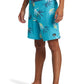 Quiksilver Men's Surfsilk Straight Leg 19" Boardshort