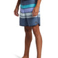 Quiksilver Men's Everyday Stripe 19" Boardshort