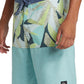 Quiksilver Men's Everyday Division 20" Boardshort