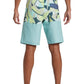 Quiksilver Men's Everyday Division 20" Boardshort