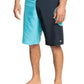 Quiksilver Men's Everyday Griff Straight 21" Boardshort