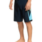 Quiksilver Men's Surfsilk Holmes 20" Boardshort