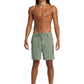 Quiksilver Men's DNA Amiphibian 18.5" Boardshorts