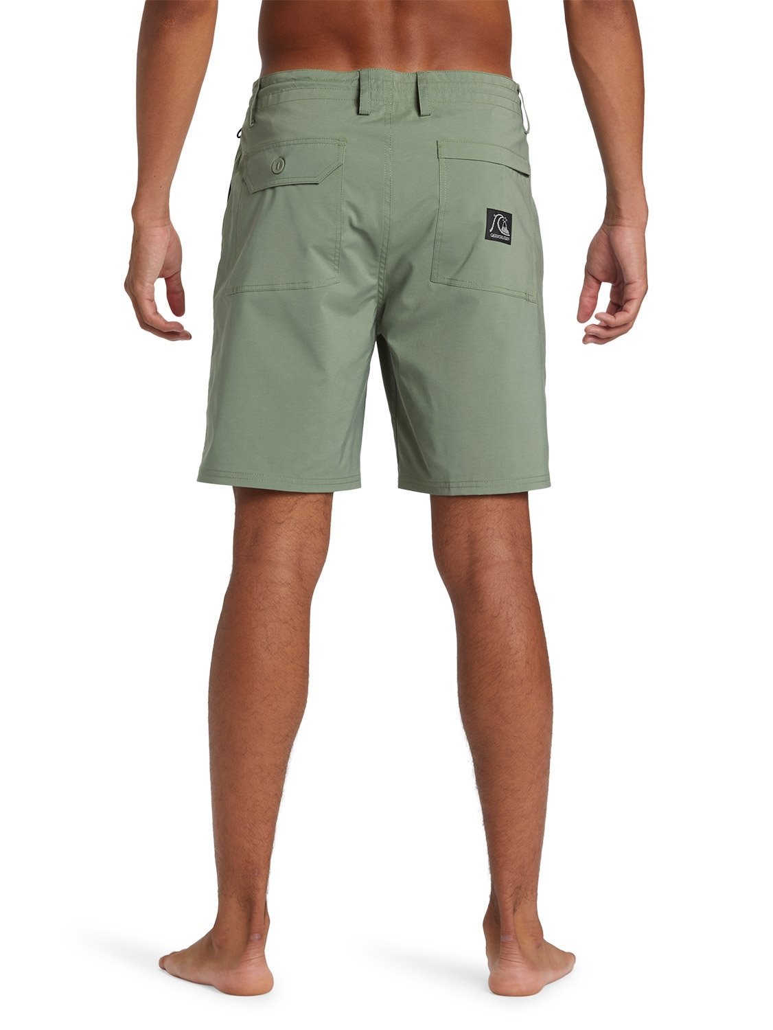 Quiksilver Men's DNA Amiphibian 18.5" Boardshorts