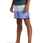 Quiksilver Men's Surfsilk Tijuana 17" Volley