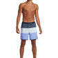 Quiksilver Men's Surfsilk Tijuana 17" Volley