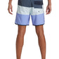 Quiksilver Men's Surfsilk Tijuana 17" Volley