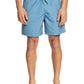 Quiksilver Men's Everyday Vert 16" Volley