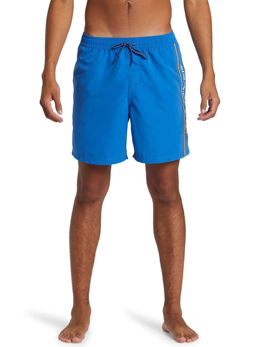 Quiksilver Men's Everyday Vert 16" Volley