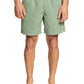 Quiksilver Men's Everyday Vert 16" Volley