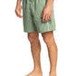 Quiksilver Men's Everyday Vert 16" Volley