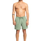 Quiksilver Men's Everyday Vert 16" Volley