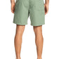 Quiksilver Men's Everyday Vert 16" Volley