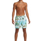 Quiksilver Men's Everyday Mix 17" Volley