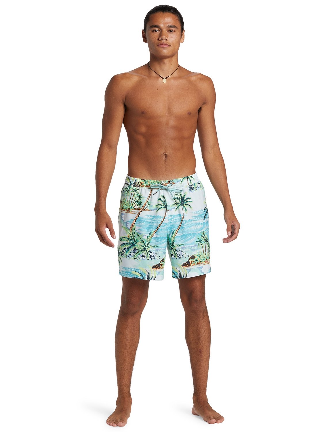 Quiksilver Men's Everyday Mix 17" Volley