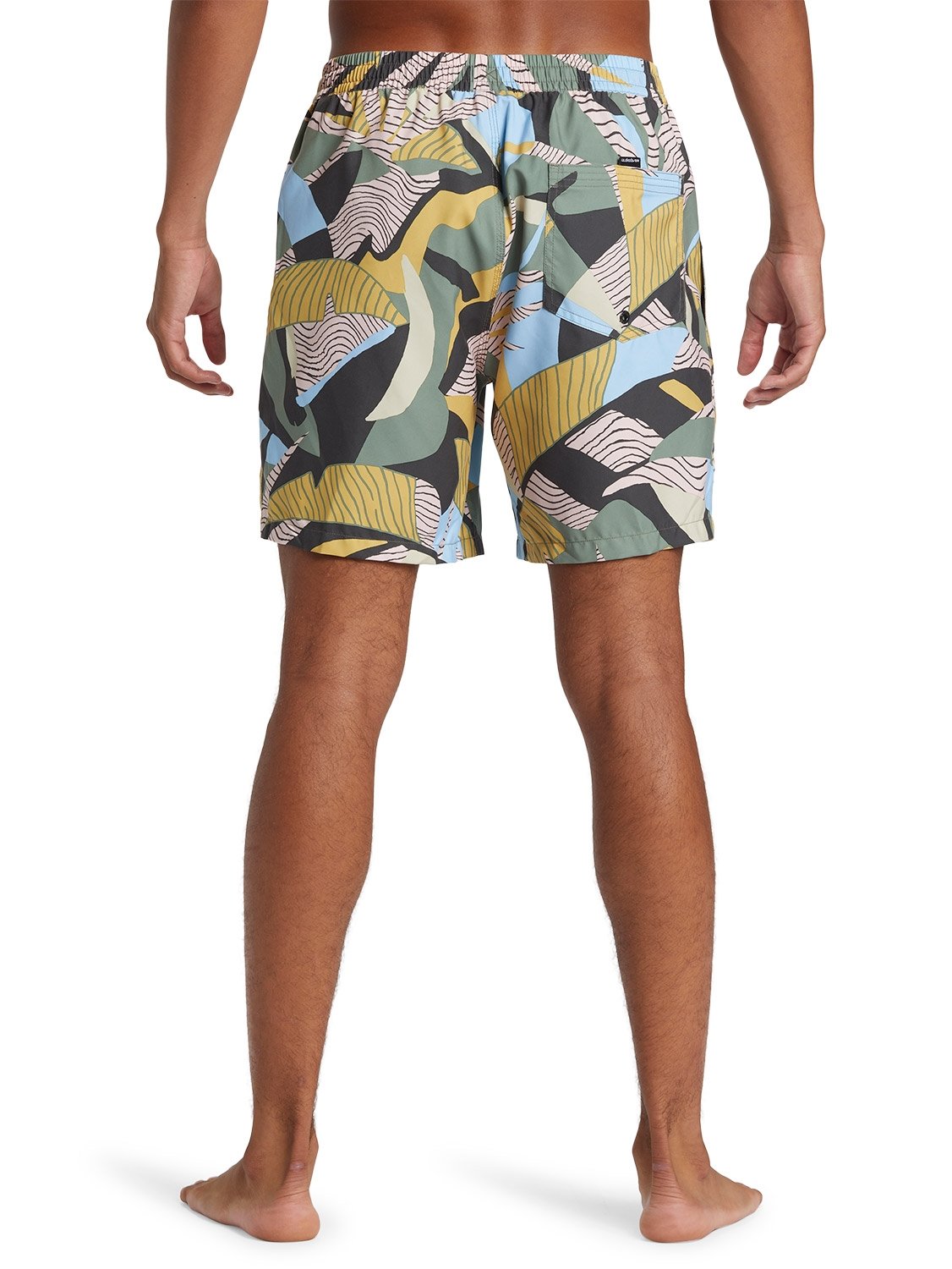 Quiksilver Men's Everyday Mix 17" Volley