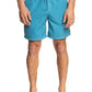 Quiksilver Men's Everyday Surfwash 17" Volley