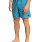 Quiksilver Men's Everyday Surfwash 17" Volley