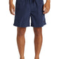 Quiksilver Men's Everyday Surfwash 17" Volley