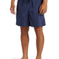 Quiksilver Men's Everyday Surfwash 17" Volley