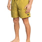 Quiksilver Men's Everyday Surfwash 17" Volley