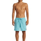 Quiksilver Everyday Solid 17" Volley