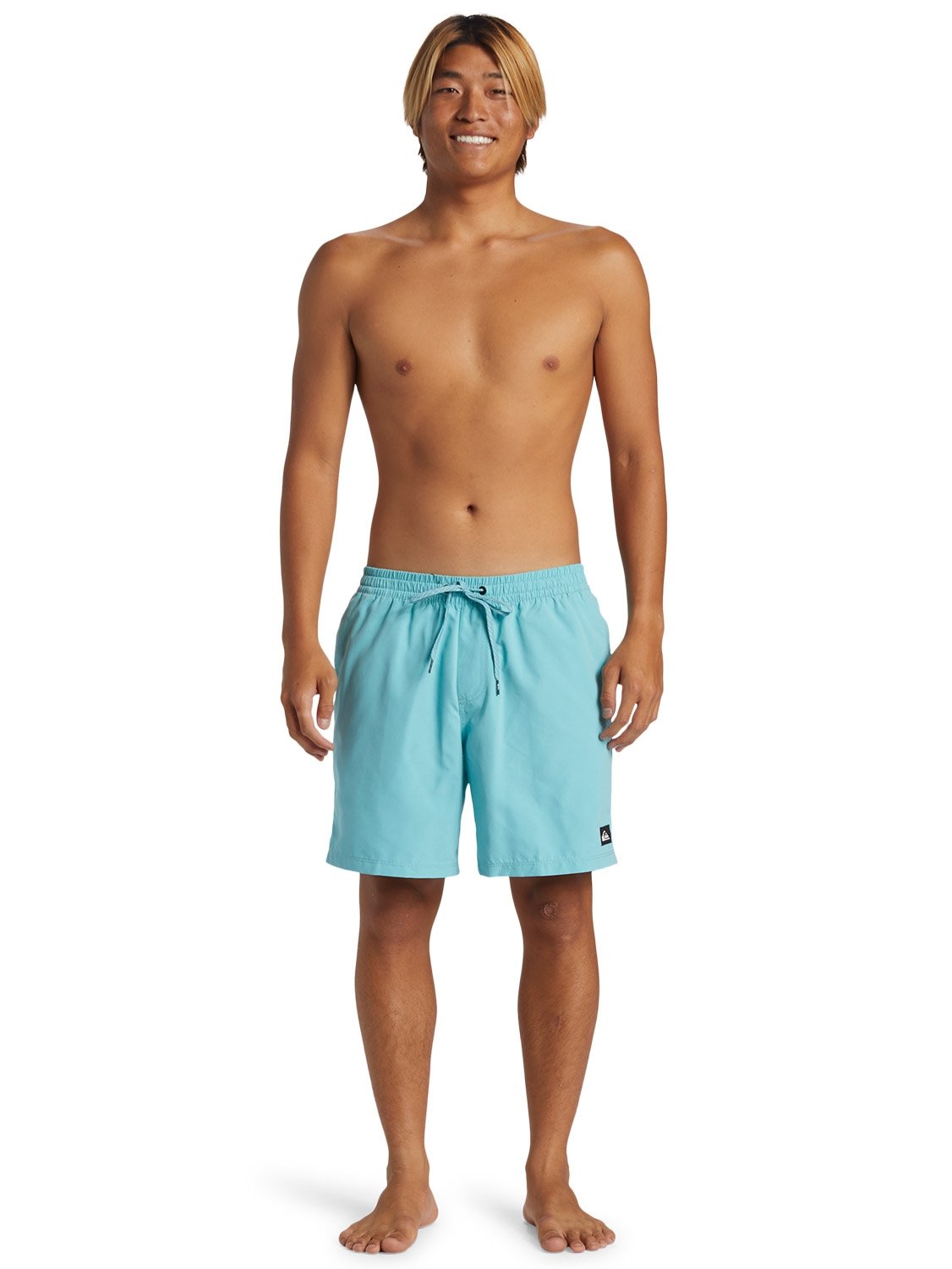 Quiksilver Everyday Solid 17" Volley