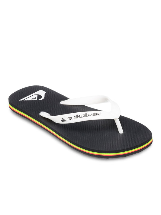 Quiksilver Men's Molokai Core Flip Flop