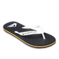 Quiksilver Men's Molokai Core Flip Flop