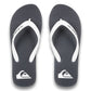 Quiksilver Men's Molokai Core Flip Flop