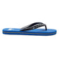 Quiksilver Men's Molokai Flip Flop