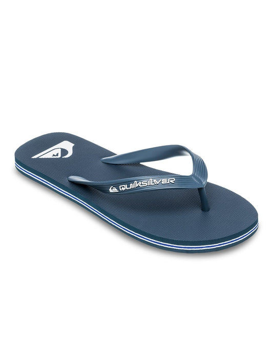 Quiksilver Men's Molokai Core Flip Flop