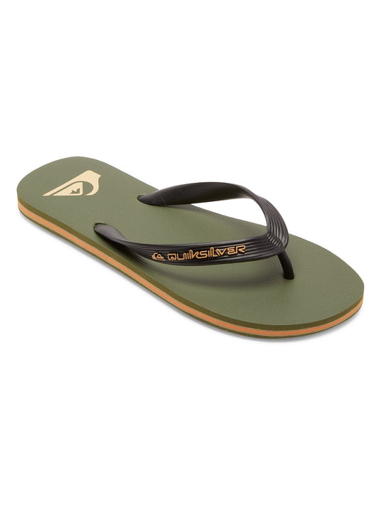 Quiksilver Men's Molokai Core Flip Flop