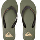 Quiksilver Men's Molokai Core Flip Flop