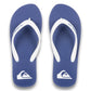 Quiksilver Men's Molokai Core Flip Flop