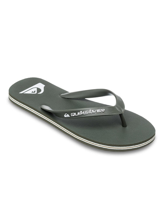 Quiksilver Men's Molokai Core Flip Flop