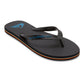 Quiksilver Men's Molokai Core Flip Flop