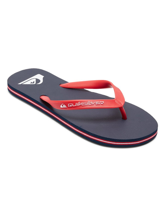 Quiksilver Men's Molokai Core Flip Flop