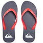 Quiksilver Men's Molokai Core Flip Flop