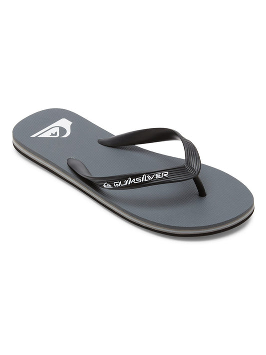 Quiksilver Men's Molokai Core Flip Flop