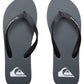 Quiksilver Men's Molokai Core Flip Flop