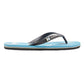 Quiksilver Men's Molokai Art II Flip Flops