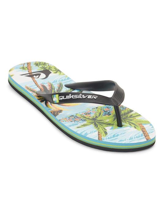 Quiksilver Men's Molokai Art II Flip Flop