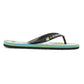 Quiksilver Men's Molokai Art II Flip Flop