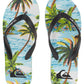 Quiksilver Men's Molokai Art II Flip Flop