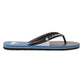 Quiksilver Men's Molokai Art II Flip Flop