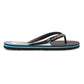 Quiksilver Men's Molokai Art II Flip Flops